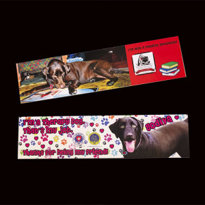 Page by Page Godiva Bookmark