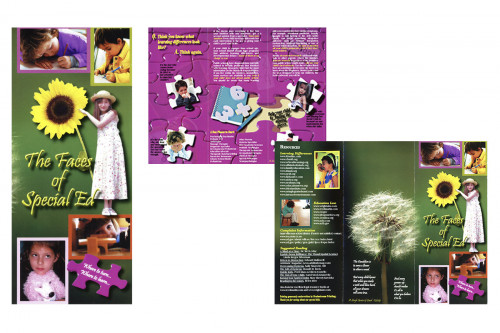 page by page special needs brochure